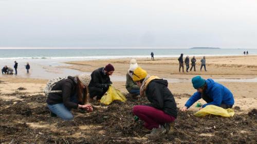 Les Mains Dans Le Sable