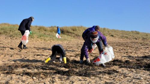 Les Mains Dans Le Sable